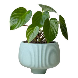 Fluted Ceramic Tabletop Planter Pot
